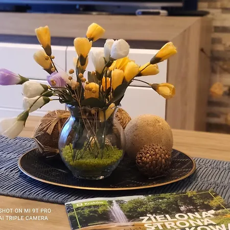 Seventh House * Cracovie